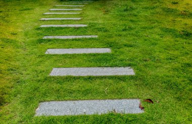 Parktaki kahverengi taş patika.