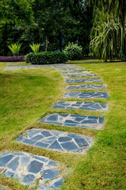 Parktaki gri taş patika.