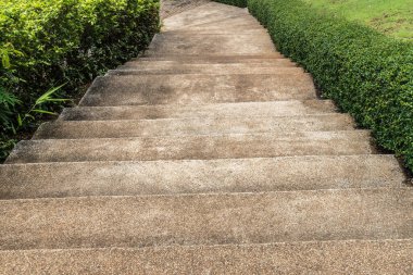 Yeşil yapraklı beton merdiven.