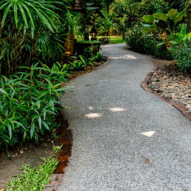 Parkta yeşil çimenler olan beton patika.