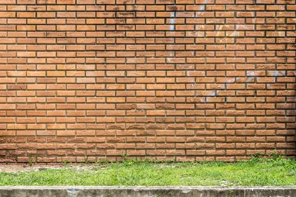 Oude Bruine Bakstenen Muur Met Groen Gras — Stockfoto