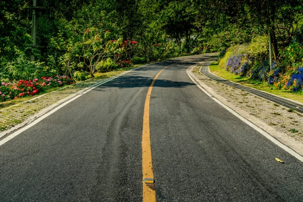 Strada Asfaltata Con Curva Linea Gialla Nel Parco — Foto Stock