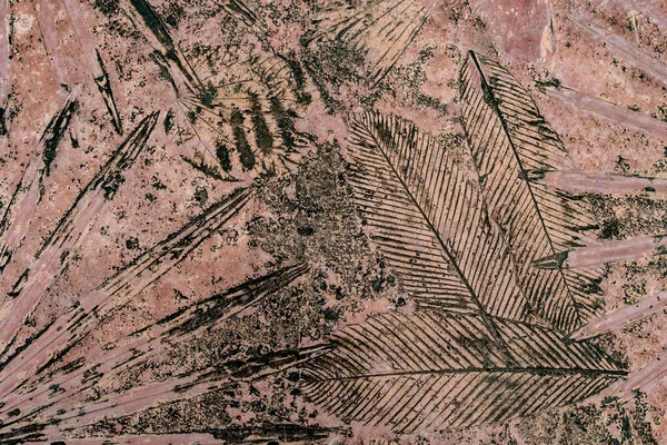 Grunge Betonnen Vloer Met Bladeren Patroon Stempel Textuur — Stockfoto