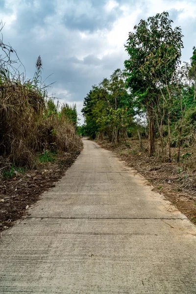 Strada Concreta Con Foresta Tropicale Sfondo Nuvoloso — Foto Stock
