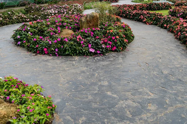 Camino Hormigón Con Flores Colores Jardín —  Fotos de Stock