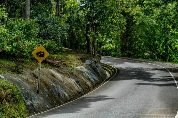 Uppför Brant Kulle Trafikskylt Med Asfalterad Väg — Stockfoto