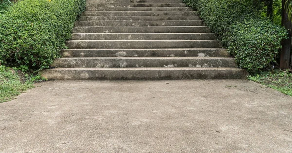 Escalier Béton Avec Des Plantes Vertes — Photo