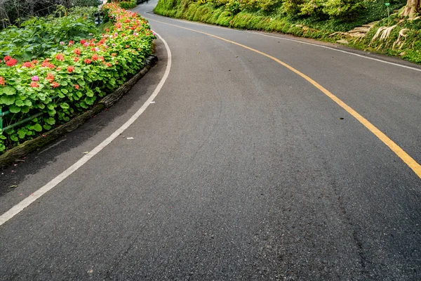 Estrada Asfalto Com Flores Coloridas Parque — Fotografia de Stock