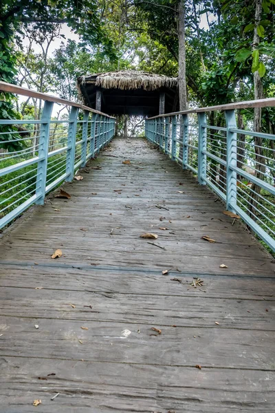 Pasarela Hormigón Con Barandilla Metálica Parque — Foto de Stock