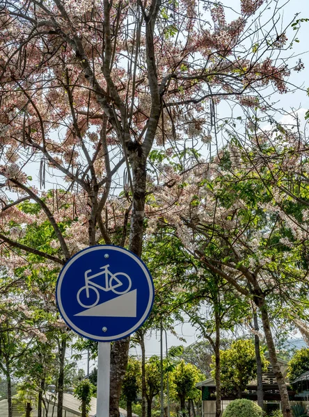 Steil Bergab Verkehrsschild Für Fahrrad — Stockfoto