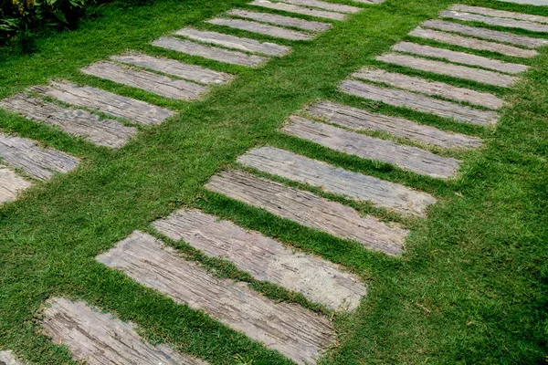 Oude Bospad Met Groen Gras Het Park — Stockfoto