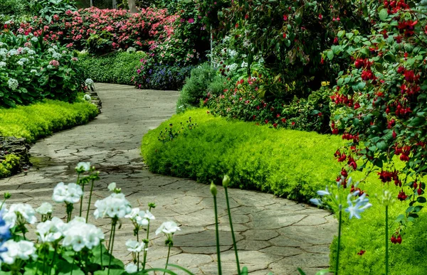 Beton Vej Med Grønne Planter Farverige Blomster Haven - Stock-foto