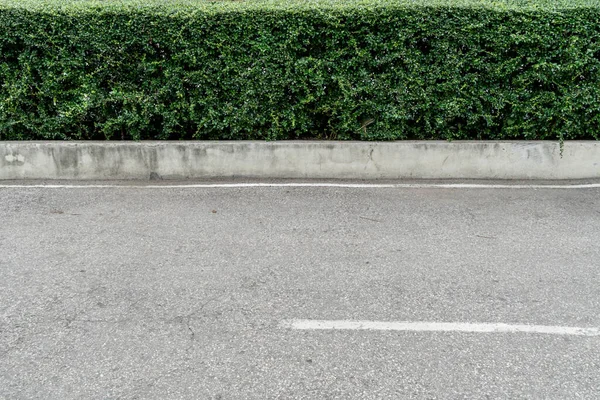 Yeşil çit ve asfalt yol