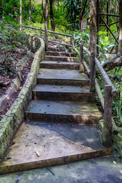 Escadaria Concreto Envelhecido Parque — Fotografia de Stock