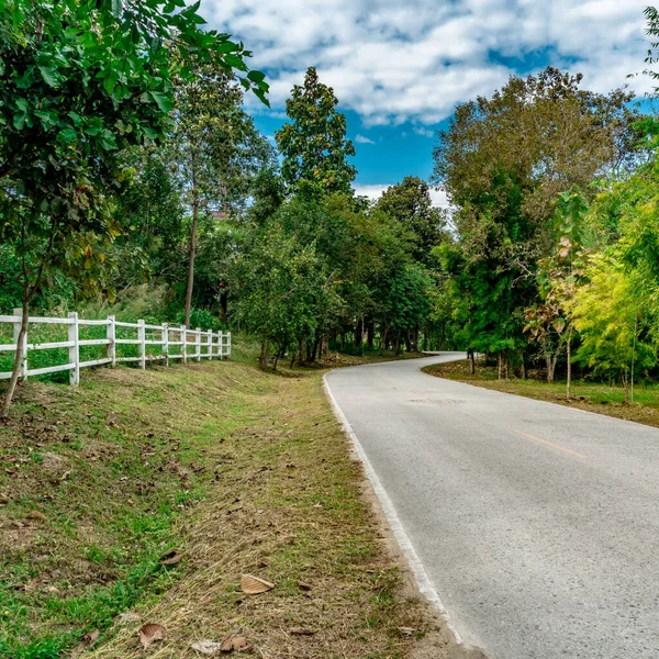 Estrada Asfalto Cerca Branca Com Floresta Tropical Verde Campo Tailândia — Fotografia de Stock