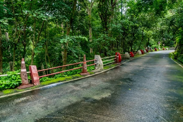 Asphaltierte Straße Mit Grünem Tropenwald Auf Dem Land Von Thailand — Stockfoto