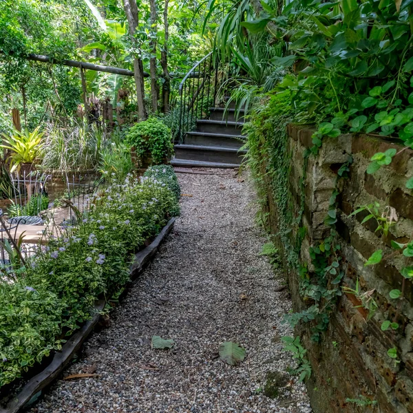 Grauwe Grindweg Het Park — Stockfoto