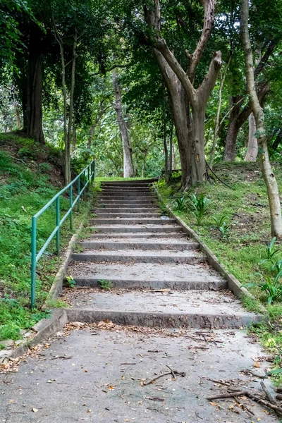 Aged Concrete Staircase Park — Stock Photo, Image