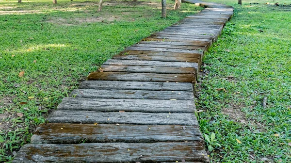 Caminho Madeira Com Gramado Verde — Fotografia de Stock