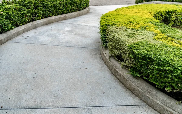 Sendero Hormigón Curvo Con Cobertura Arbusto Recortado Verde Parque — Foto de Stock