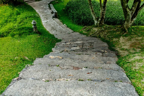 Curva Envelhecida Caminho Concreto Escada Com Grama Verde Parque — Fotografia de Stock