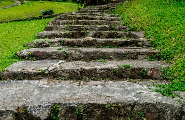 Escalier Béton Courbe Vieillie Avec Herbe Verte Dans Parc — Photo