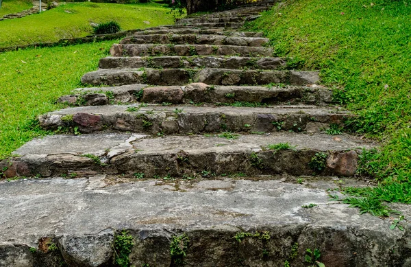 Verouderde Bocht Betonnen Trap Met Groen Gras Het Park — Stockfoto