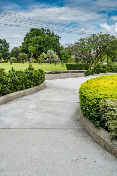 Sendero Hormigón Curvo Con Cobertura Arbusto Recortado Verde Parque — Foto de Stock