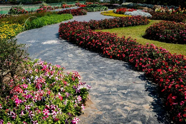Bahçesinde Renkli Çiçekler Olan Beton Bir Yol — Stok fotoğraf