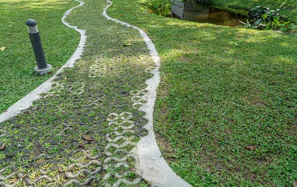 Concrete Walkway Green Lawn — Stock Photo, Image