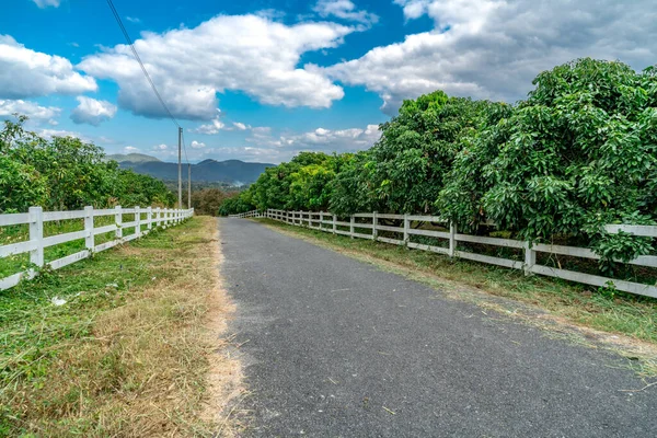 Asphalt Road White Fence Farm — Stock Photo, Image