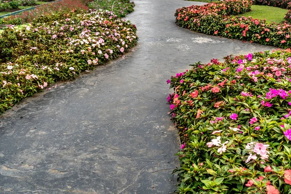 Concrete pathway with colorful flowers in the garden