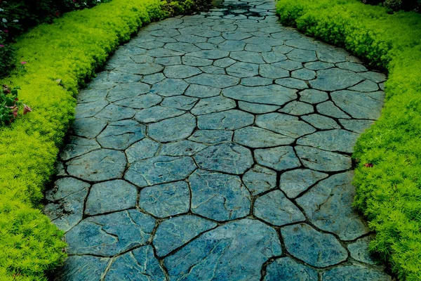 Caminho Pedra Cinza Com Plantas Verdes Parque — Fotografia de Stock