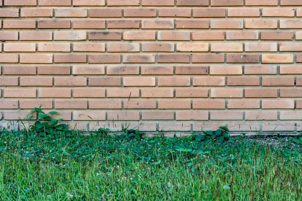 Vecchio Muro Mattoni Marrone Con Pavimento Erbacce Verdi — Foto Stock