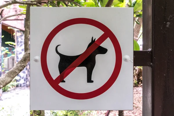 Nenhum Cão Permitido Sinal Poste Ferro — Fotografia de Stock