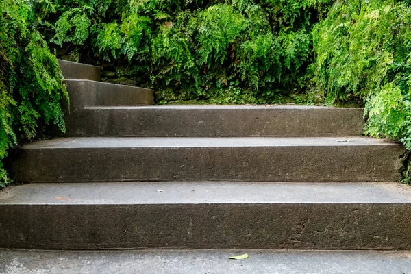 Betagte Betontreppe Mit Grünen Pflanzen — Stockfoto