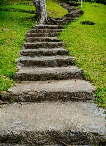 Curva Envejecida Escalera Hormigón Crecimiento Hierba Verde Parque — Foto de Stock