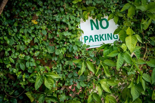 Nincs Parkoló Tábla Zöld Levelekkel Növények — Stock Fotó