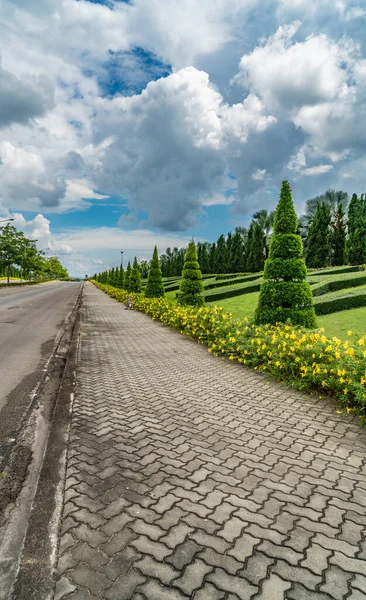 Chemin Blocs Béton Avec Fleurs Jaunes Plantes Vertes Dans Parc — Photo