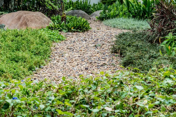 Foglie Verdi Piante Con Piccola Ghiaia Giardino — Foto Stock