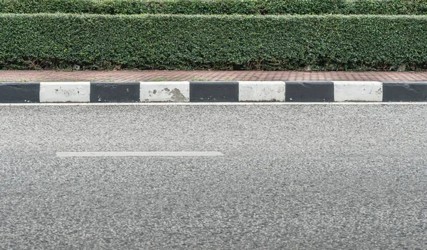 Asphalt Road White Line Concrete Block Sidewalk Trimmed Plants Hedge — Stock Photo, Image