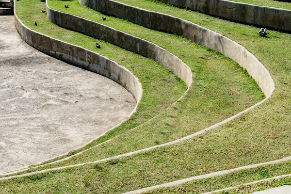 Groen Gras Met Kromme Van Beton Stap — Stockfoto