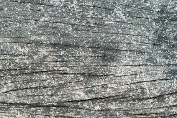 Alte Braune Holzwand — Stockfoto