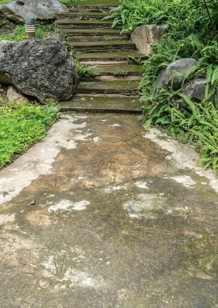 Concrete Stair Park Green Moss Fern — Stock Photo, Image