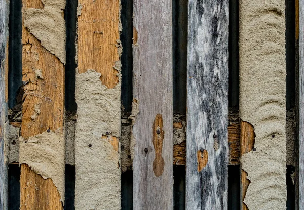 Termitennest Beschädigt Alten Holzzaun — Stockfoto