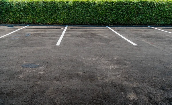 Asphaltierter Leerer Parkplatz Mit Buschzaun — Stockfoto