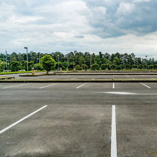 Asphalt Empty Car Park Bush Fence — Stock Photo, Image