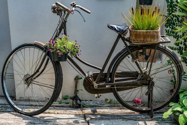 Stary Rower Kolorowymi Kwiatami — Zdjęcie stockowe