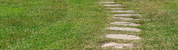 緑の草の間の石の道 — ストック写真