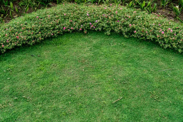 Kurva Bunga Tempat Tidur Dengan Rumput Hijau Taman — Stok Foto
